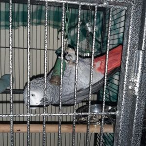 Meet your Posher, Denise